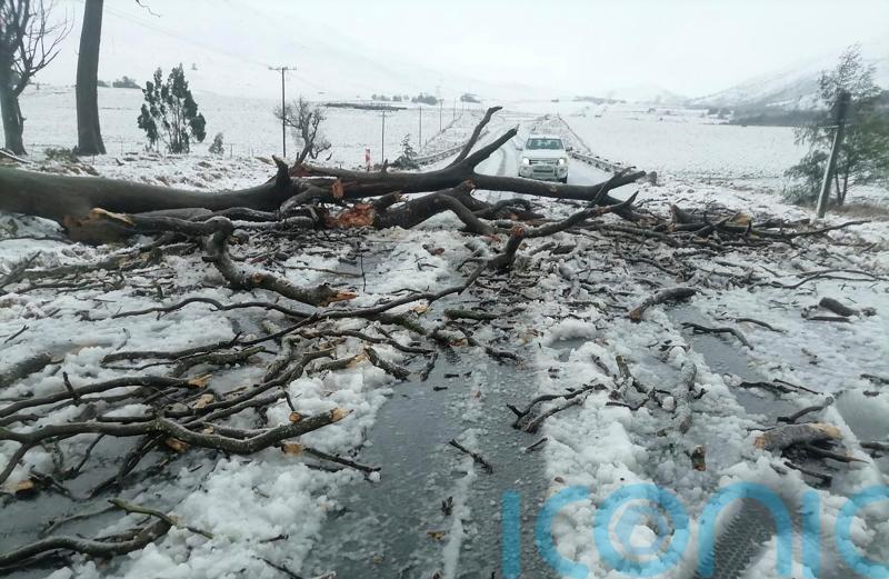 At least 49 people have died in flooding in South Africa, officials say