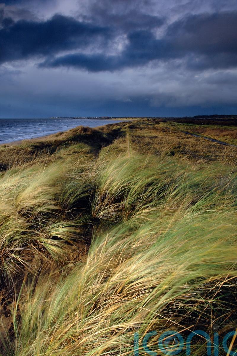 Human leg found on beach in South Ayrshire