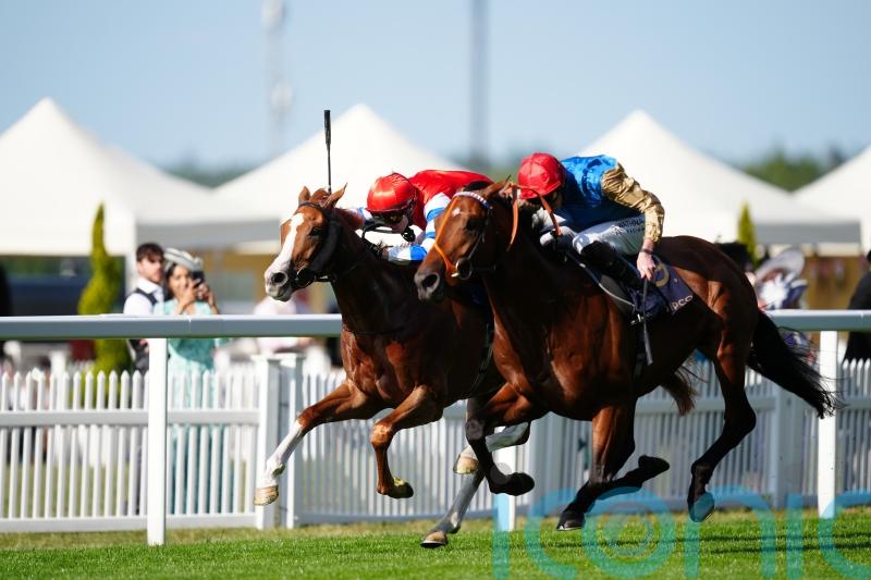 Haatem shines with back-to-back Royal Ascot victories