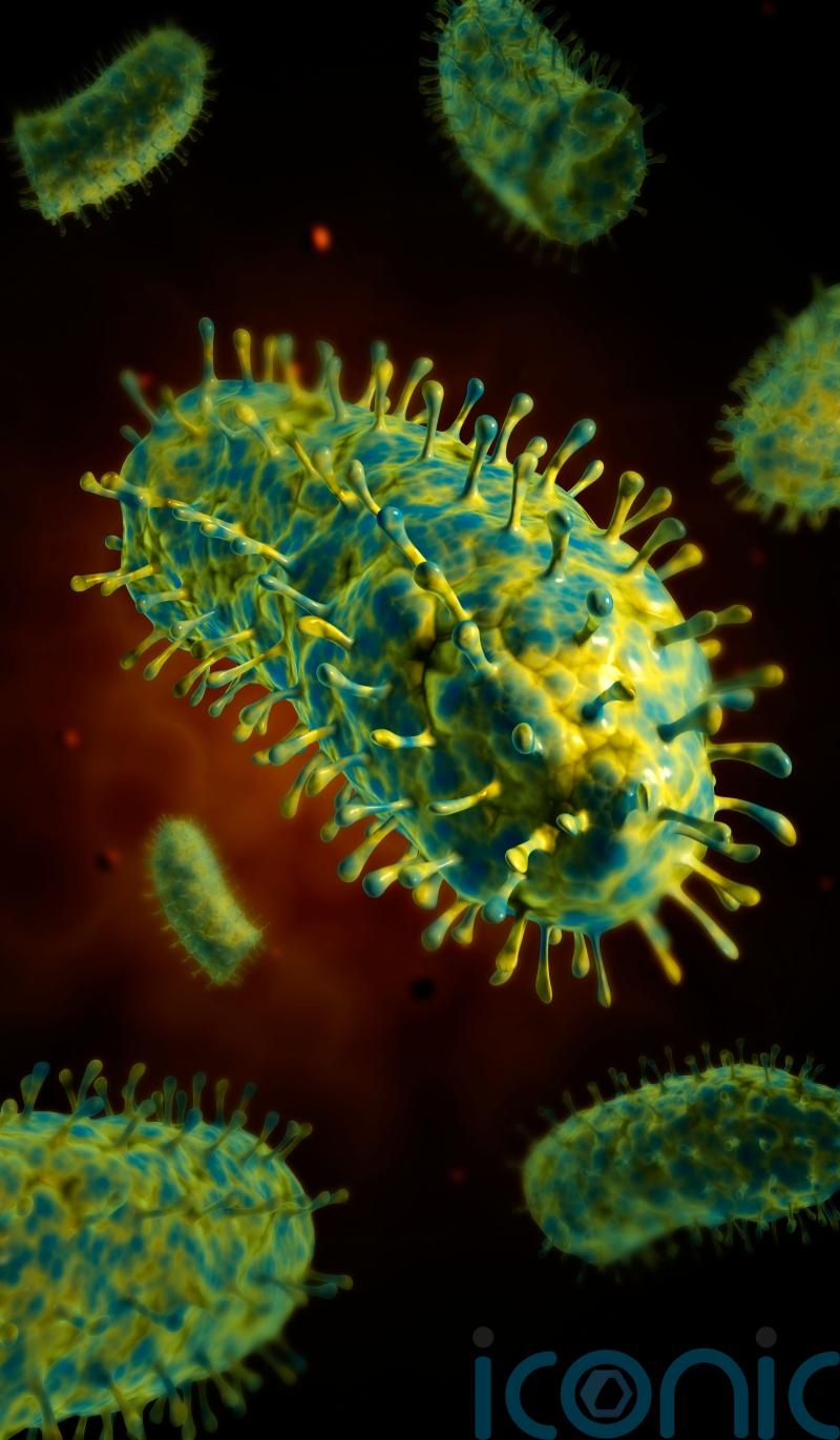 Person dies in UK after becoming infected with rabies while on holiday