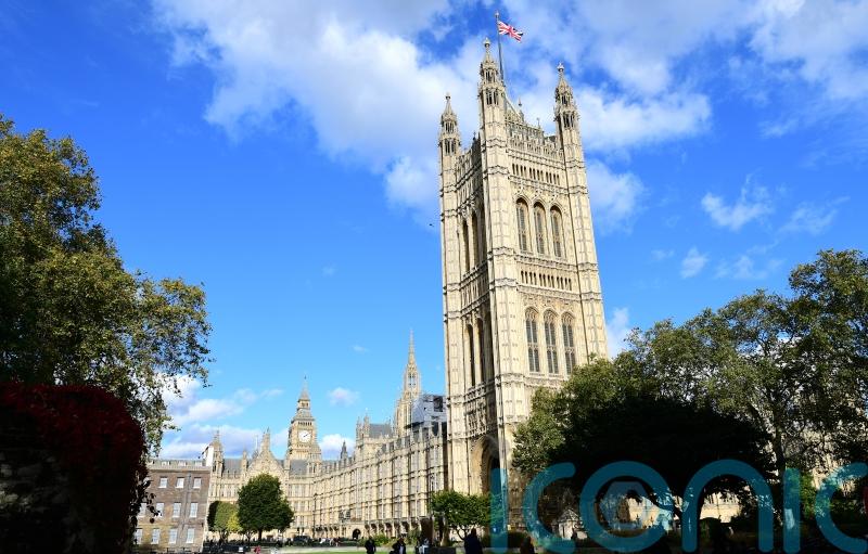Cats ruled out for parliamentary pest patrols over welfare concerns