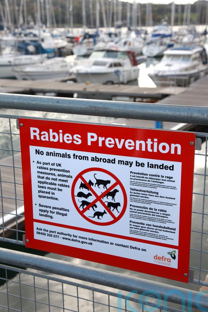 What is rabies and how is it spread?