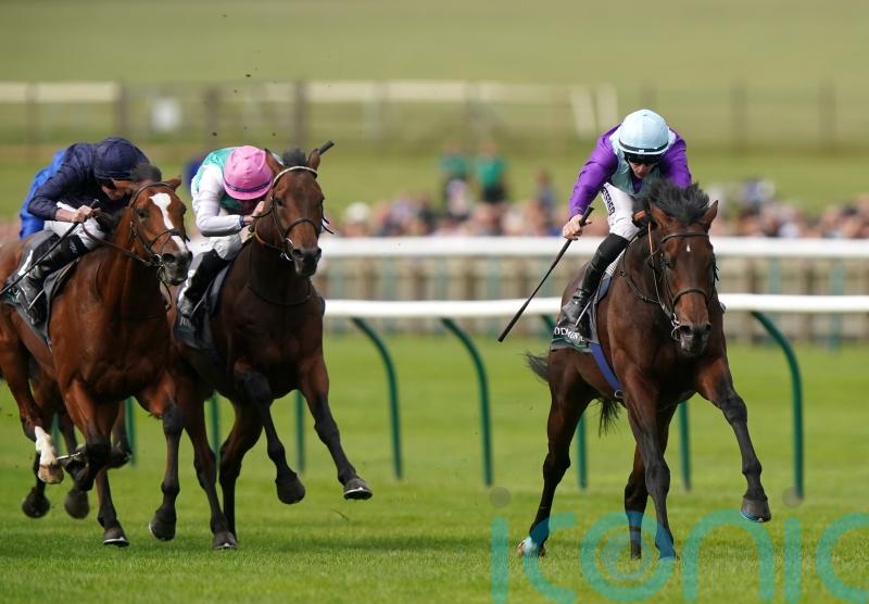 Headline buy Ghostwriter gets mile-and-a-half chance in Hardwicke