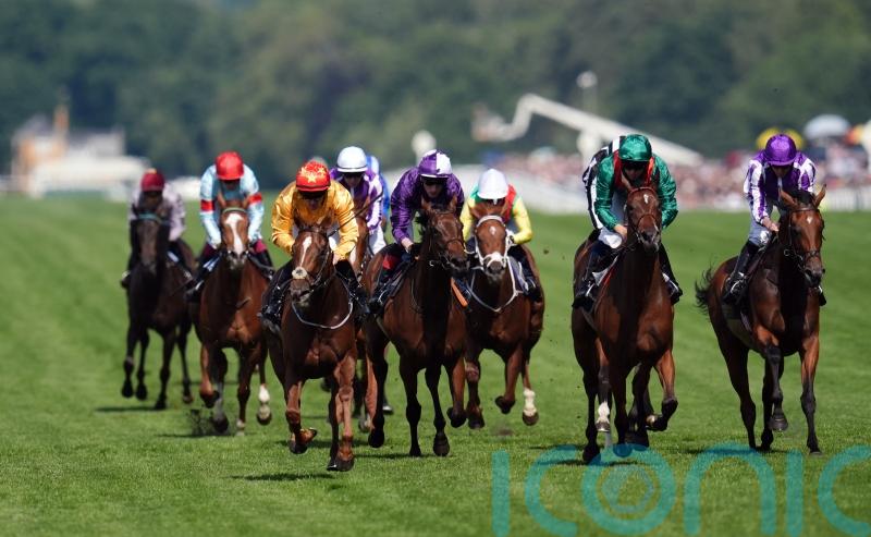 Graffard taking the positives as Zarigana suffers Coronation reverse