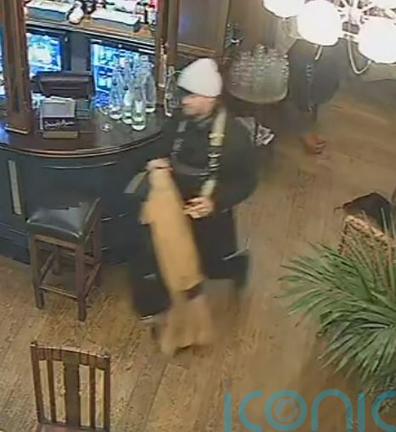 Met Police appeal after ‘priceless’ 280-year-old violin stolen from pub