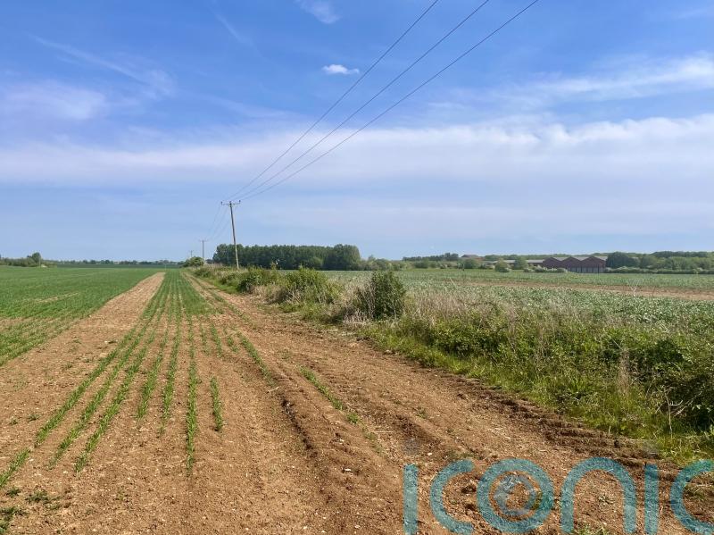 Heatwave latest hit to farmers struggling with increasingly extreme weather