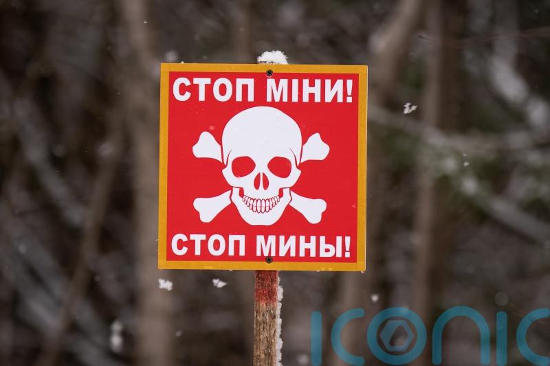 UK commitment to landmine ban ‘unwavering’ says minister as allies exit