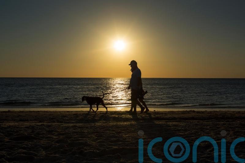Hand injuries sustained by dog walkers cost NHS millions each year – study