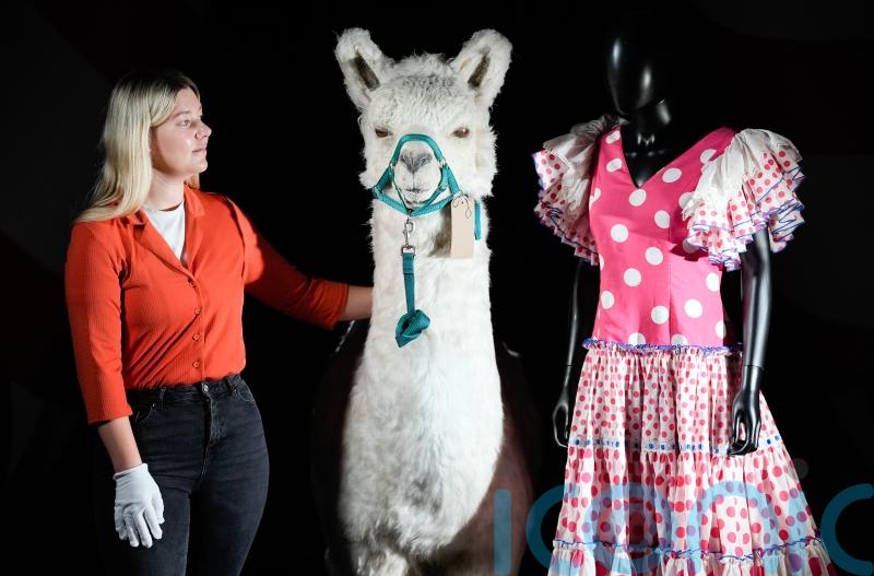 Costumes, props and ‘llama’ from Monty Python’s final live show to be auctioned