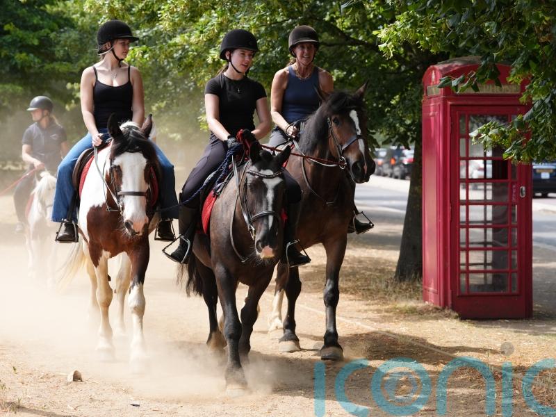 Heatwave to peak with temperatures of up to 35C in likely hottest day of year