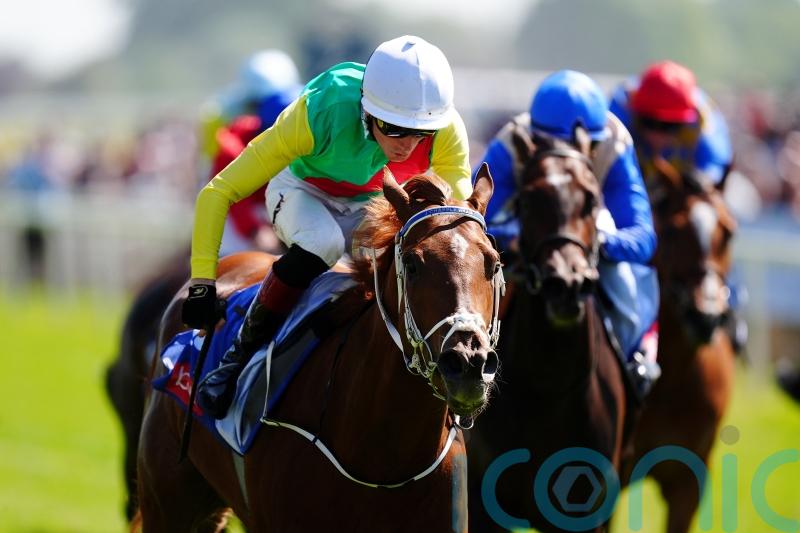 Sandown not in Chapple-Hyam’s plans for Kon Tiki