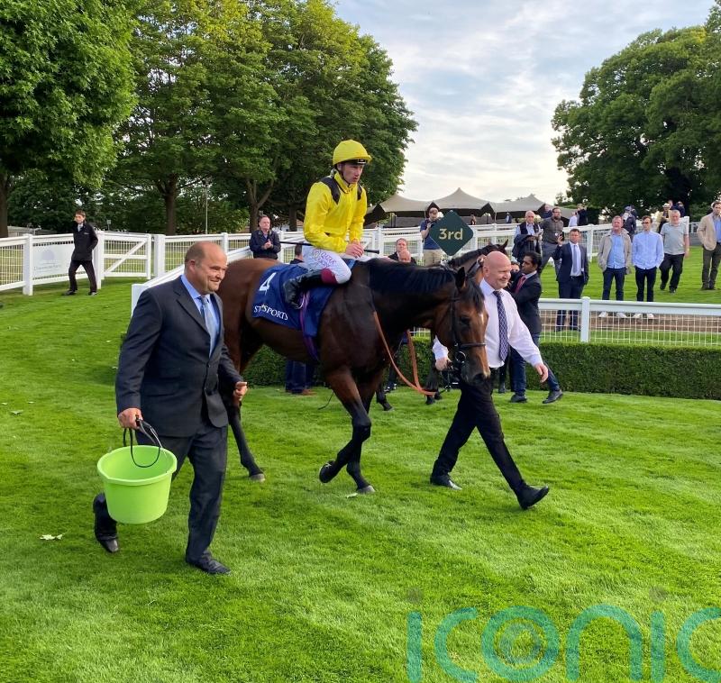 Almaqam plans on ice as quick ground scuppers Sandown run