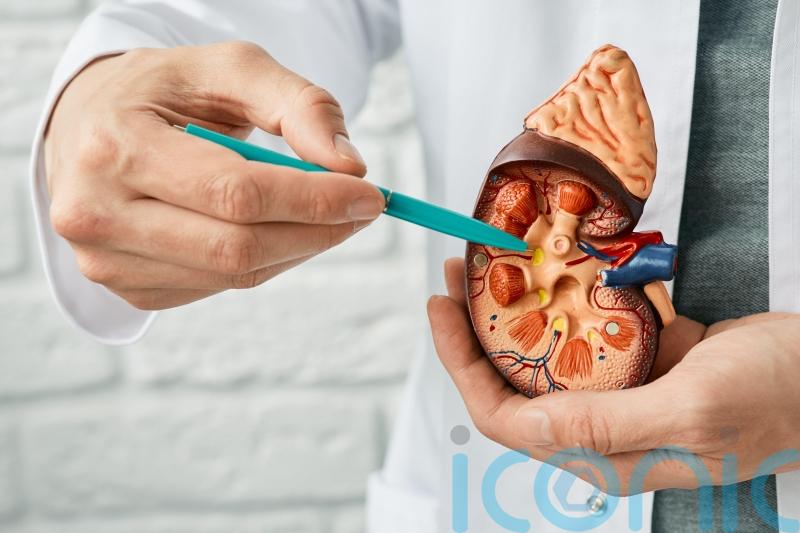 3 kidney risks that increase with age and ways to prevent them