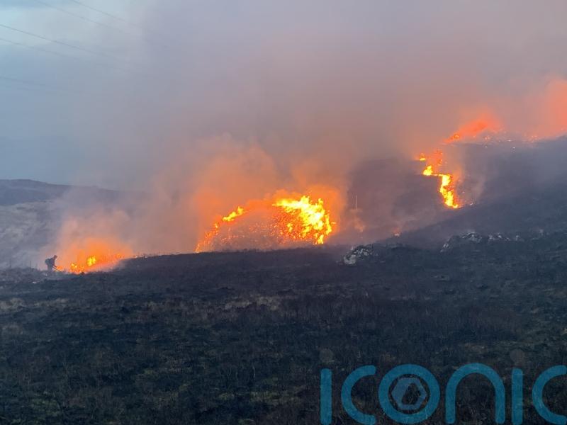 Investigation launched into wildfires across north of Scotland