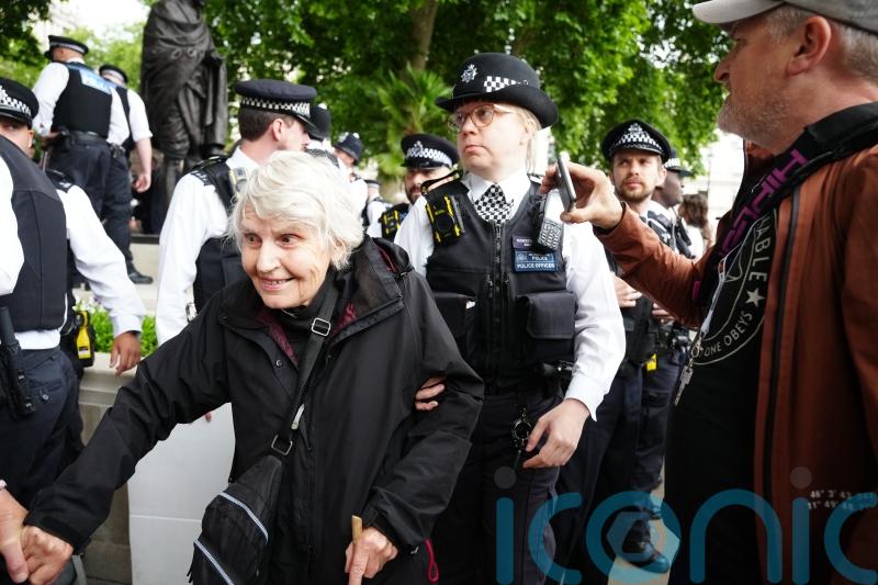 No age limit on law, says Met Police chief as 83-year-old arrested at protest