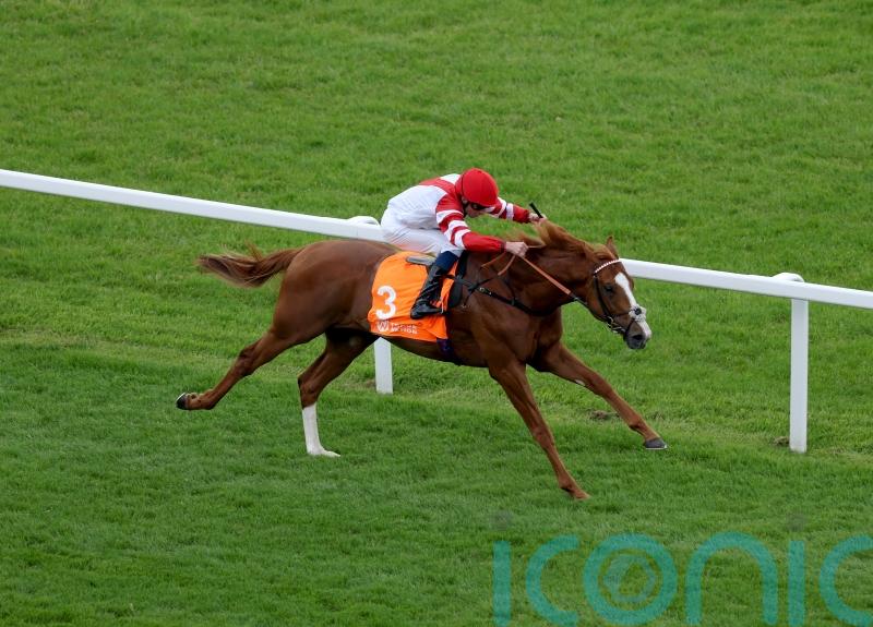 King’s Gambit pointed at Goodwood after strong Wolferton run