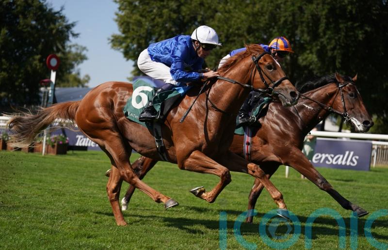 Big-money buy Distant Storm delivers on debut at Newmarket