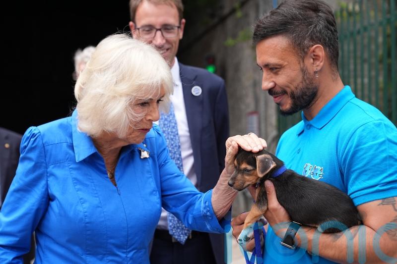 Camilla smitten with Battersea puppy as she opens dog-friendly garden
