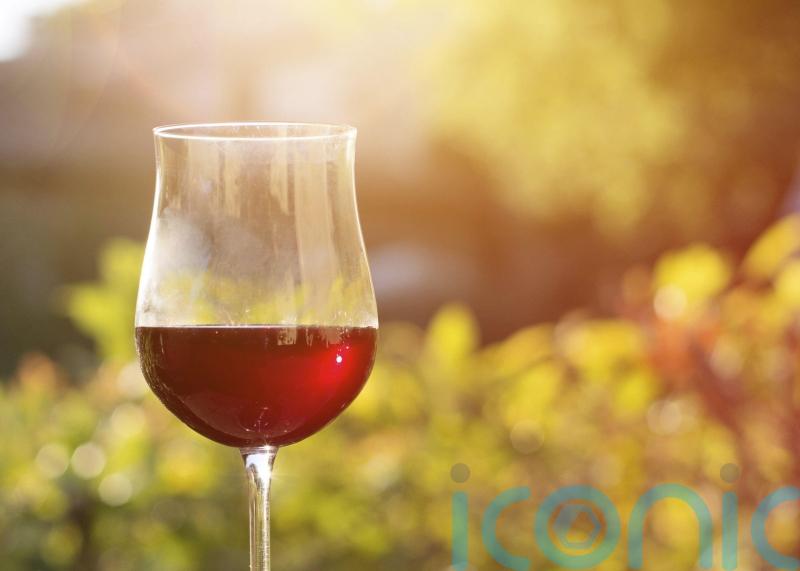 6 summer reds to sip in the sunshine