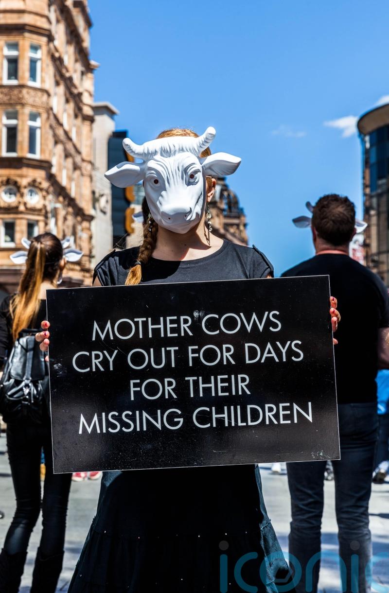 Vegan charity Viva! ad featuring baby being taken from mother banned