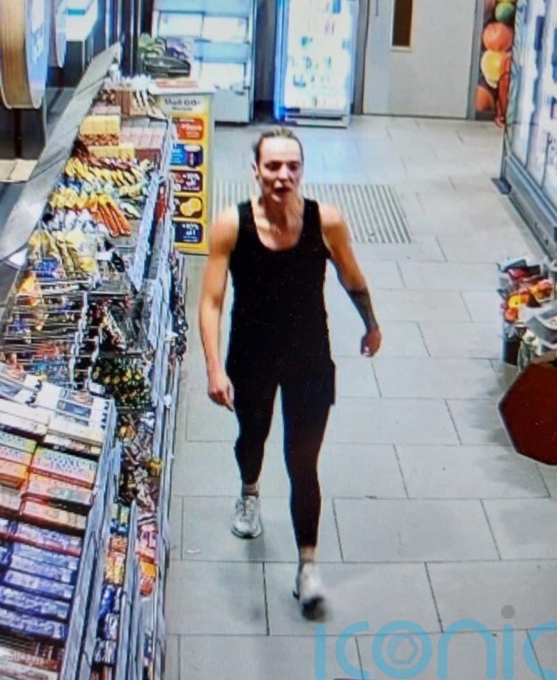 Police teams continue to search for missing woman