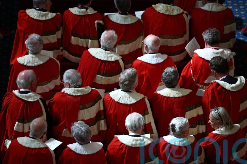 Hereditary peers make last-ditch plea to be spared in ‘ruthless purge’ of Lords