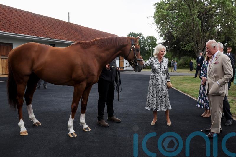 King and Queen feed polo mints to champion racehorse on visit to Newmarket