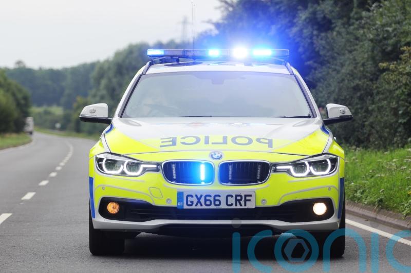 Full list of police officer numbers in England and Wales, by force