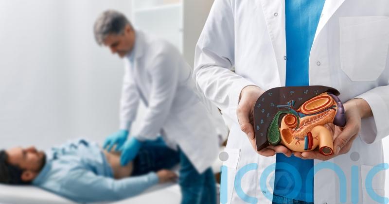 The causes and treatments of liver cancer – as cases set to double fuelled by obesity