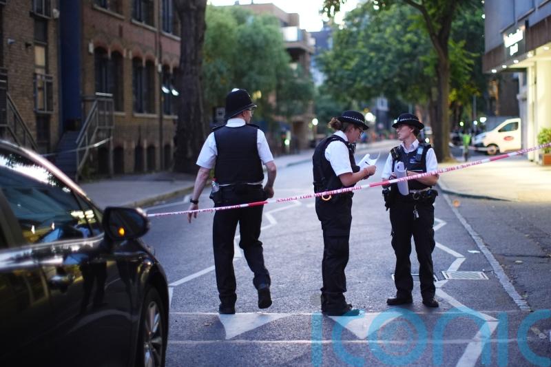 Two men who died after stabbing in central London named as father and son
