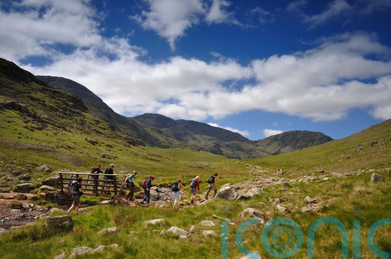 Walk on Britain’s wilder side while raising money for endangered species