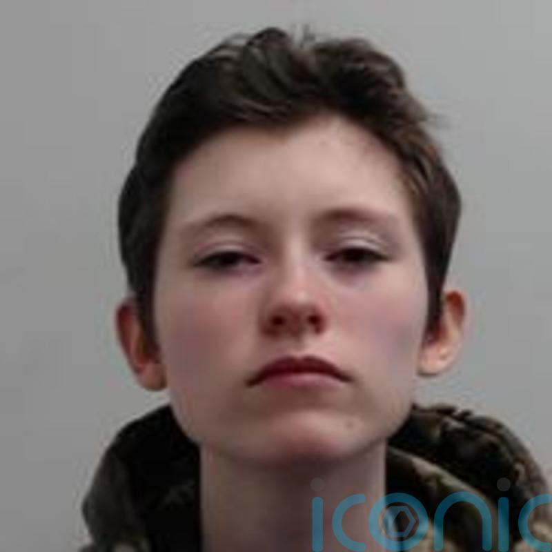 Teenager jailed for school shooting fantasy inspired by Columbine massacre