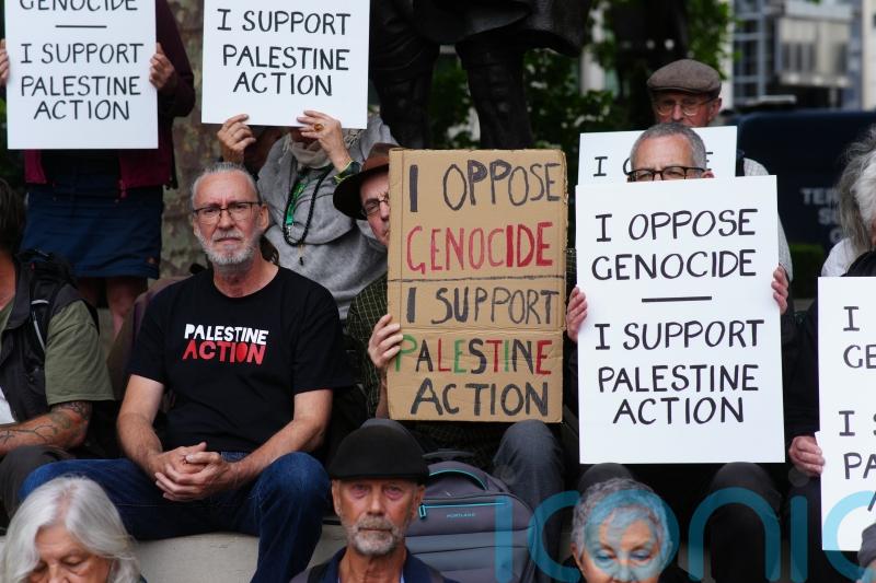 Palestine Action High Court challenge can go ahead, judge rules