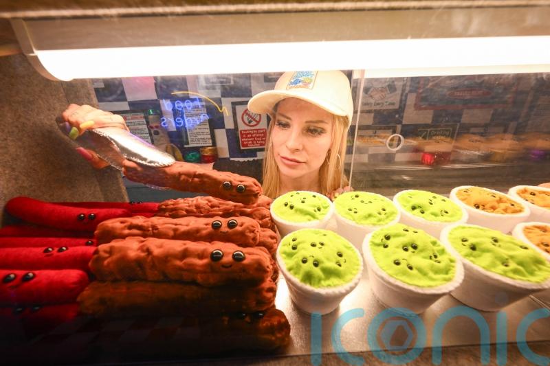 Artist to serve up fish and chips at takeaway shop made entirely from felt