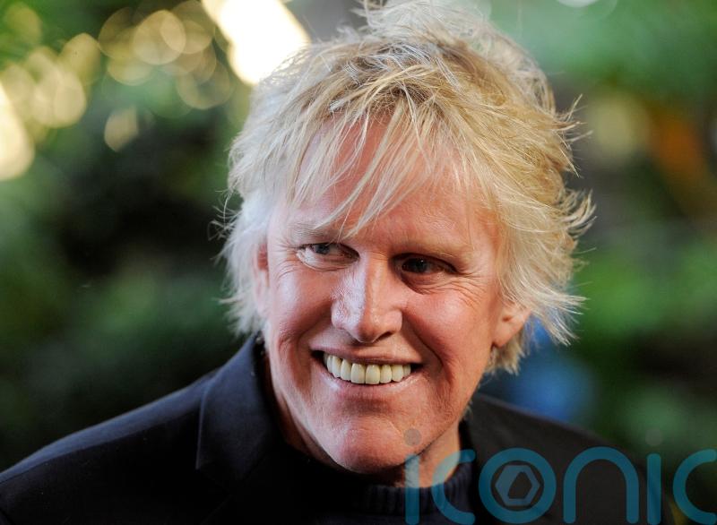 Actor Gary Busey pleads guilty to sexual offence at horror convention