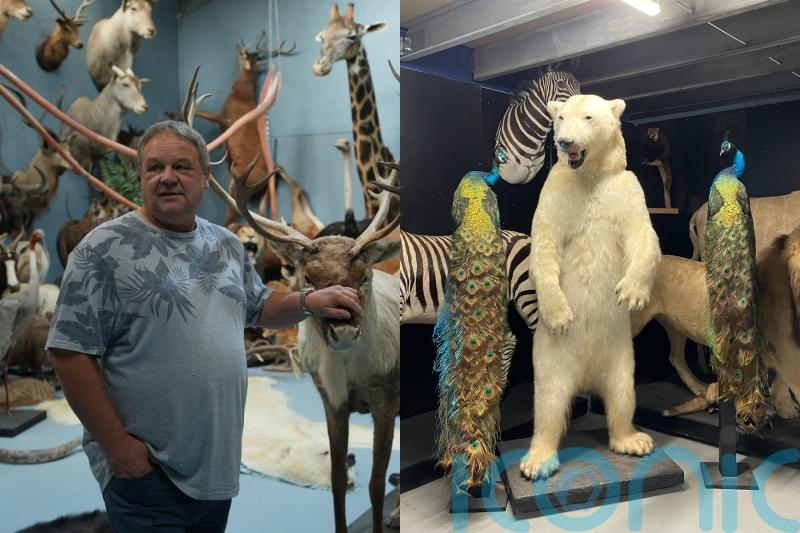 ‘The Stuffa’ taxidermist: I’ve ‘thrown chickens’ between Angelina Jolie’s legs on set and made a roller-skating alpaca