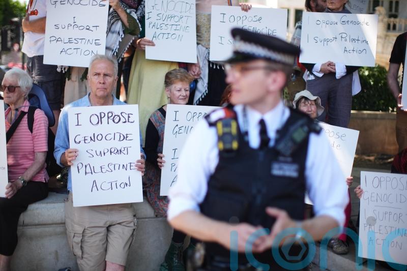 Planned Palestine Action protest will not try to overwhelm police – organisers