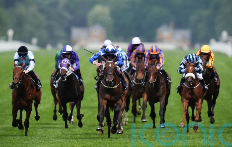 Options home and abroad for promising filly Awaken