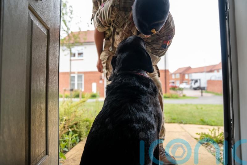 Rules on owning pets ease for families in 900 military homes in Northern Ireland