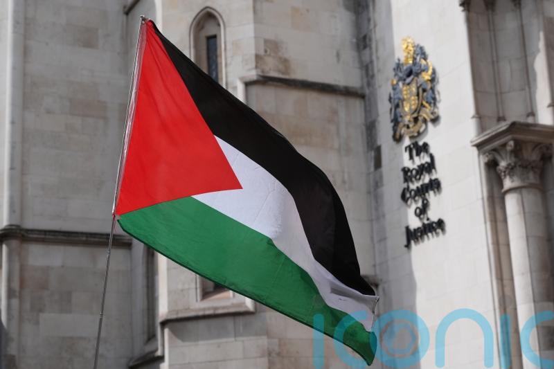 Palestine Action has committed ‘violence’ and ‘significant injury’, No 10 says