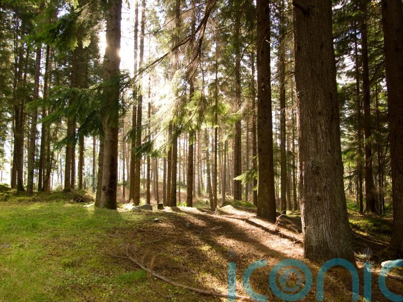 Swinney opens £26m glasshouse to boost forests and woodlands