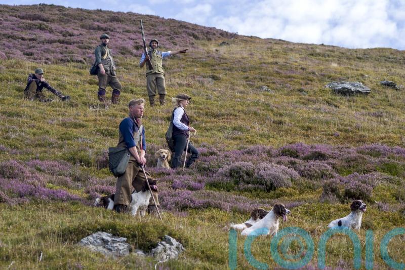 Glorious Twelfth: Grouse shooting season gets under way