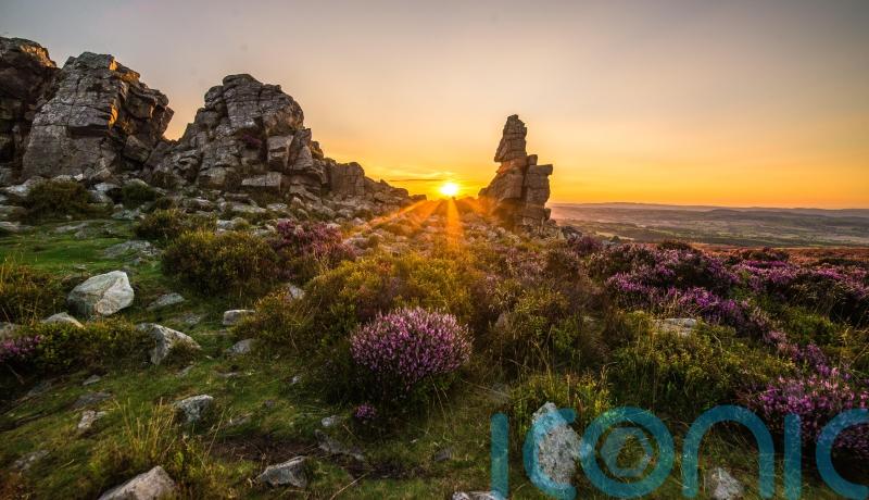 Rare upland landscapes on English-Welsh border protected with expanded reserve