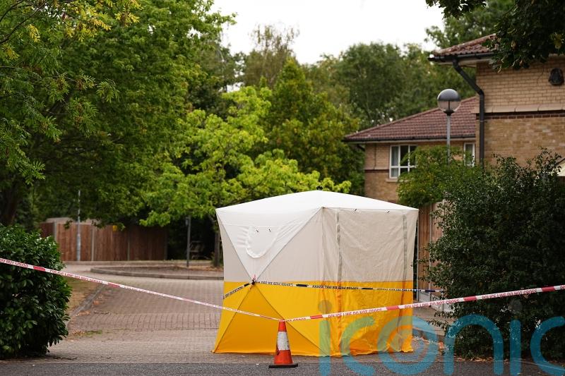 Three arrested in murder investigation after woman fatally assaulted