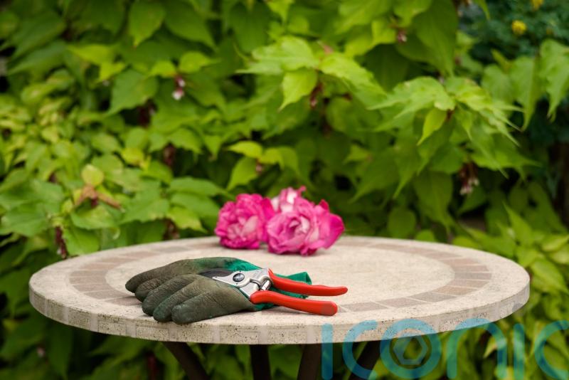 How to get your garden ready for autumn