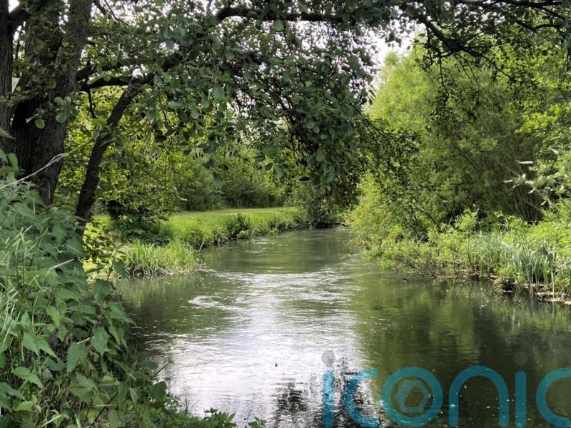 Feargal Sharkey accuses environment watchdog of illegally draining River Lea