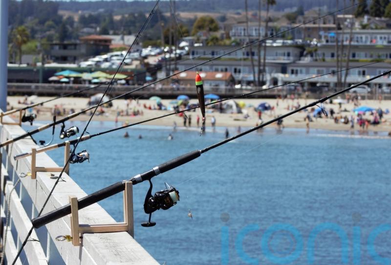 Revenues jump at Angling Direct after strong online sales