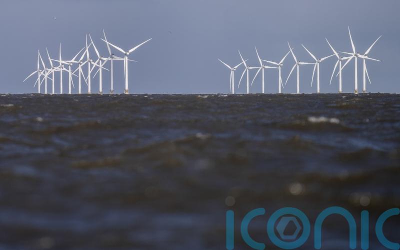 Fishing leaders call for immediate halt to wind farm expansion ‘stampede’
