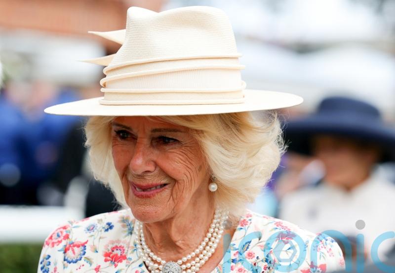 Queen delights racegoers but has hopes of winning dashed at York Racecourse