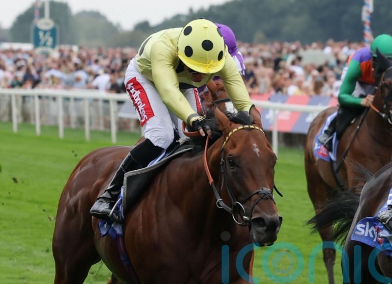 Richard Hannon &lsquo;disappointed&rsquo; by Rosallion defeat